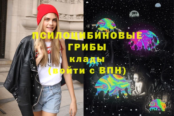 ECSTASY Семикаракорск