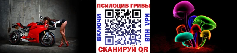дарнет шоп нарко площадка официальный сайт Псилоцибиновые грибы Cubensis Андреаполь кракен зеркало